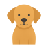 Cachorro